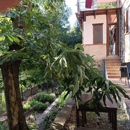Casa Dei Faggi Appartement Tolfa Buitenkant foto