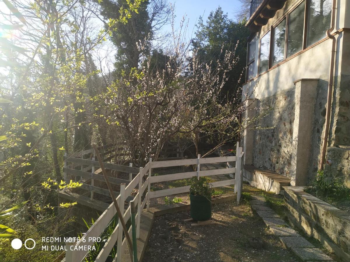 Casa Dei Faggi Appartement Tolfa Buitenkant foto
