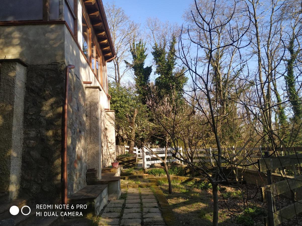 Casa Dei Faggi Appartement Tolfa Buitenkant foto