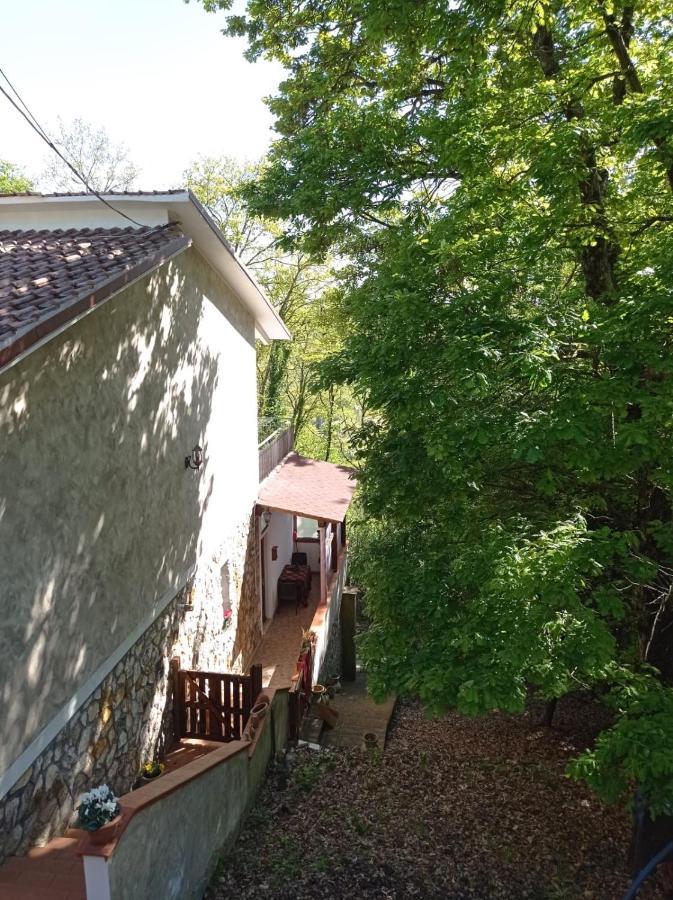 Casa Dei Faggi Appartement Tolfa Buitenkant foto
